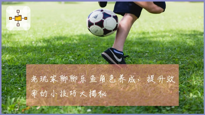 老玩家聊聊乐鱼角色养成，提升效率的小技巧大揭秘