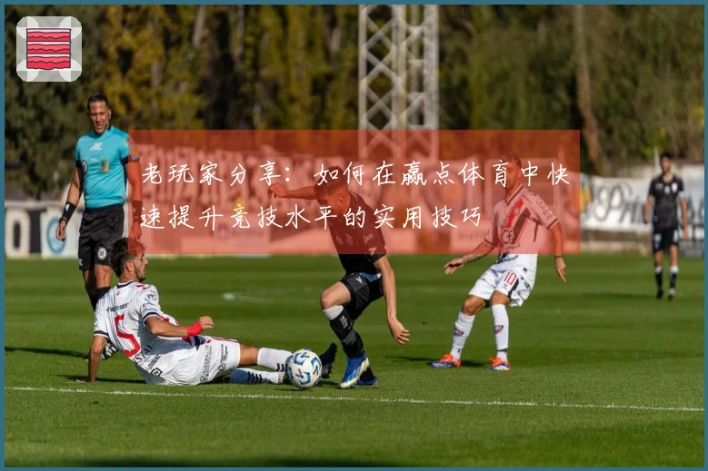 老玩家分享：如何在赢点体育中快速提升竞技水平的实用技巧