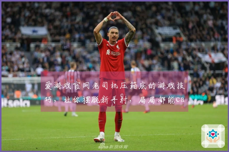 爱游戏官网老司机压箱底的游戏技巧，让你摆脱新手村，局局都能carry！